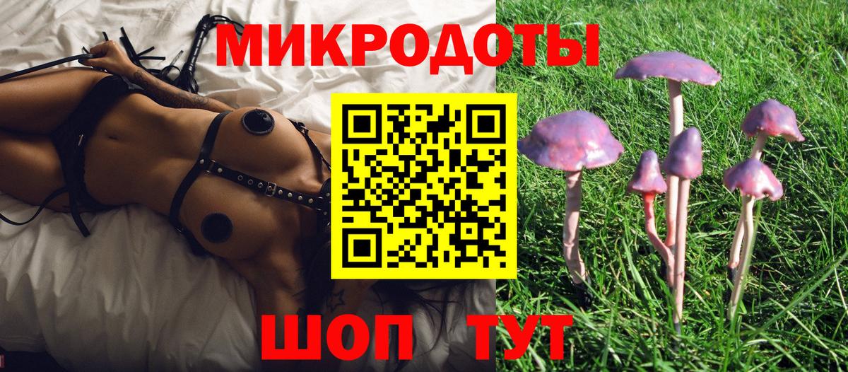 Псилоцибиновые грибы прущие грибы  Вход с VPN  купить   Губкинский  Псилоцибиновые грибы ЛСД 