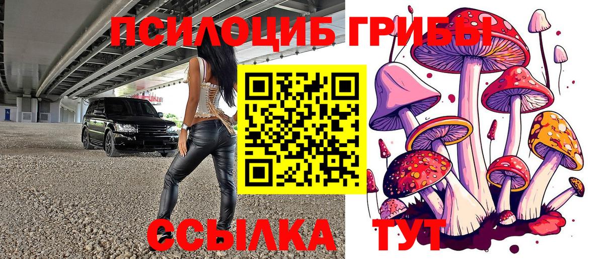 Псилоцибиновые грибы прущие грибы Губкинский